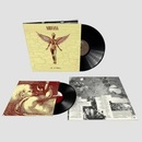 IN UTERO