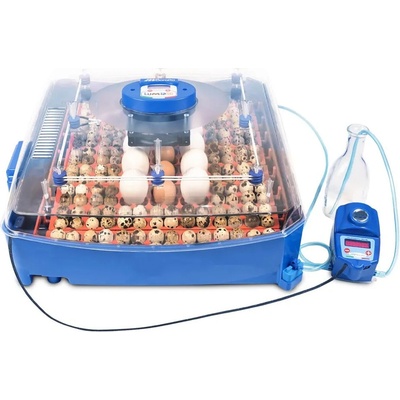 BOROTTO LUMIA 56 EXPERT liaheň