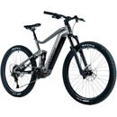 Leader Fox Acron 1 2024