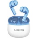 Canyon TWS-5