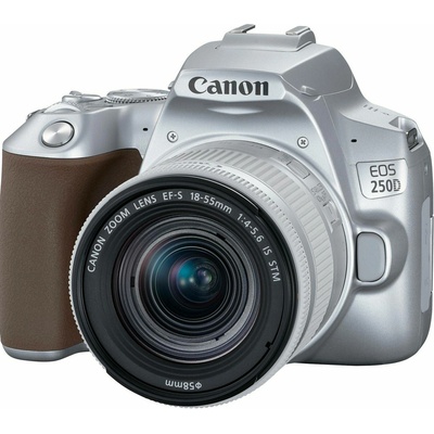 Canon DSLR EOS 250D + EF-S 18-55mm (3461C003AA)