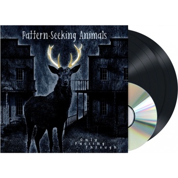 Pattern-Seeking Animals - Only Passing Through LP