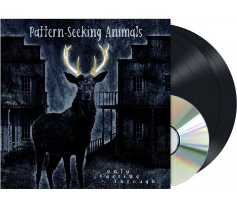 Pattern-Seeking Animals - Only Passing Through LP