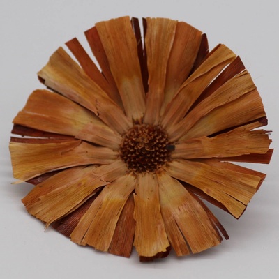 Protea supercut loose 9cm - 30ks