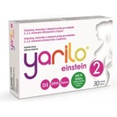 Yarilo Einstein 2 60 tobolek