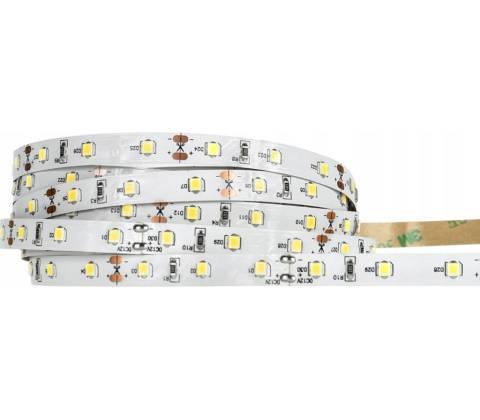 Ecolight EC79082