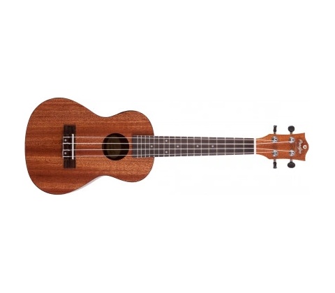 Prodipe Guitars BC210 EQ