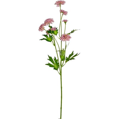 KS CHRYZANTÉMA 66cm SUPER CENA!