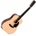 Sigma Guitars DM12E