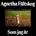 FALTSKOG, AGNETHA - SOM JAG AR CD