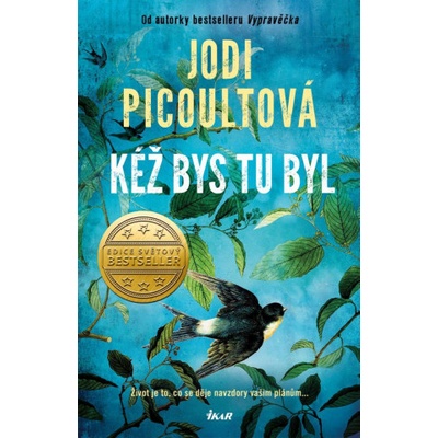 Kéž bys tu byl - Jodi Picoult
