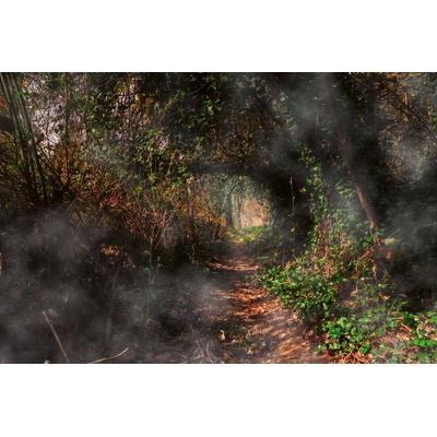 DIMEX ART Флизелинов фототапет мистериозна пътека през гората 375 x 250 см
