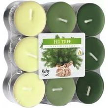 Bispol aura Fir Tree 18ks