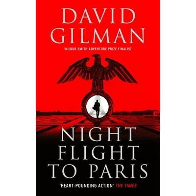 Night Flight To Paris - David Gilman