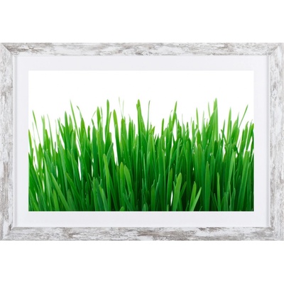 Bondecor Obraz v modernom ráme Green 37 x 53 cm