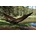 Cocoon Ultralight Hammock