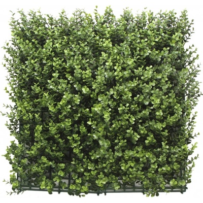 Umelý živý plot BUXUS DONKER PREMIUM, 4ks dielce 50x50cm, plocha 1m2