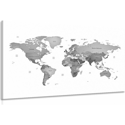 Obraz mapa sveta vo farbách čiernobielej