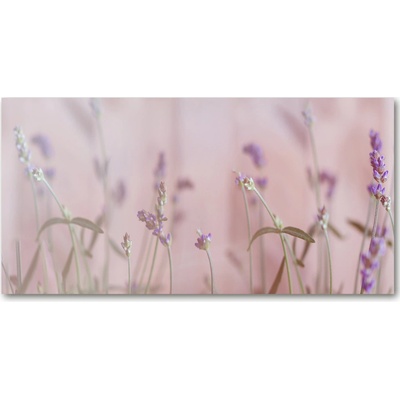 Foto obraz sklo tvrzené levanduľa 100x50 cm