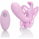 CalExotics Butterfly Remote Venus