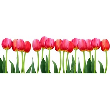 DIMEX ART s. r. o Панорамни флизелинов фототапет лала 375 x 150 см