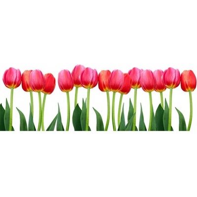 DIMEX ART Панорамни флизелинов фототапет лала 375 x 150 см