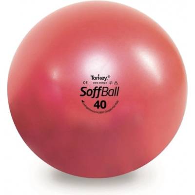 Ledragomma Aerobic ball 40cm