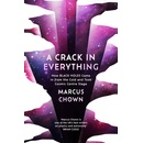 Crack in Everything