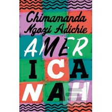Americanah - Chimamanda Ngozi Adichie