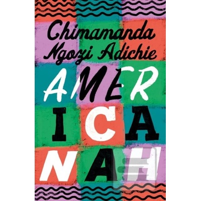 Americanah - Chimamanda Ngozi Adichie