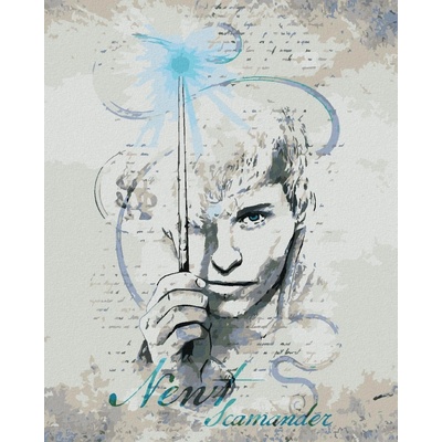 Zuty Kresba mlok scamander fantastická zvířata 40 x 50 cm vypnuté plátno na rám 8596530206859