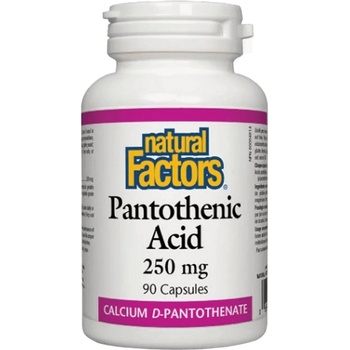Natural Factors Panthothenic Acid 250 mg, 90 Capsules