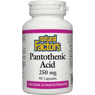 Natural Factors Panthothenic Acid 250 mg, 90 Capsules
