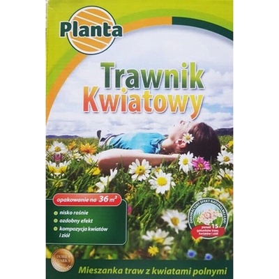 Dekoratívna tráva Planta 36 m² 0,9 kg
