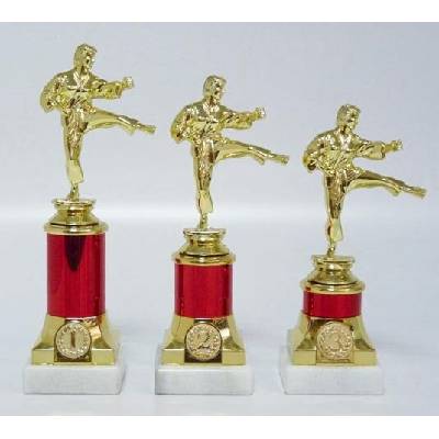 VIZINGR Karate trofeje ŽENA 30-F99 23 cm