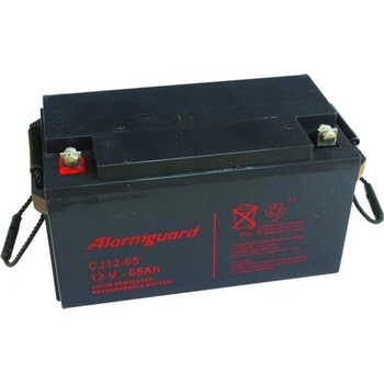 Alarmguard 12V 65Ah