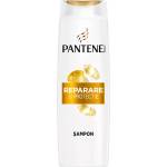 Pantene Pro-V Възстановяващ шампоан за увредена коса Repair & Protect, 625 ml - ozone