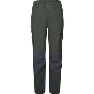 Trollkids Детски туристически панталон Trollkids Kid's Hammerdalen Pant Walking trousers - Ivy - размер 110 (EU) (701-1736-0513)