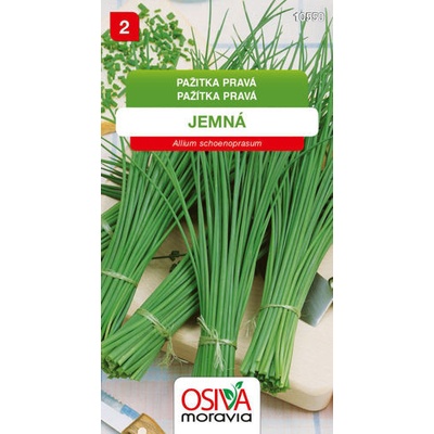 Pažitka pravá Jemná Seva Seed 1,5 g