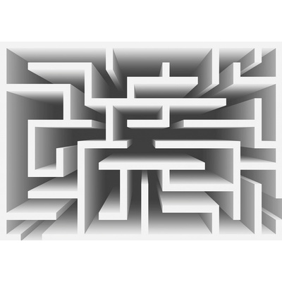ForWall 3D Fototapeta Bludisko vlies 152,5 x 104 cm