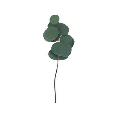 Umelý eukalyptus X4925-16