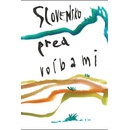 Slovensko pred voľbami