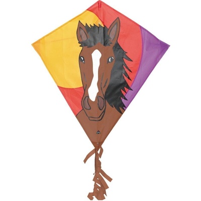 Invento Lietajúci Eddy Bronco