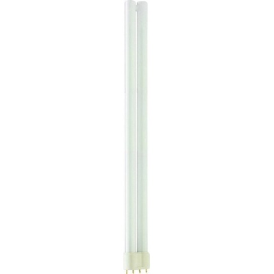 Philips MASTER PL-L 40W 840 4pin