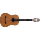 Prodipe Guitars Primera