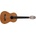 Prodipe Guitars Primera