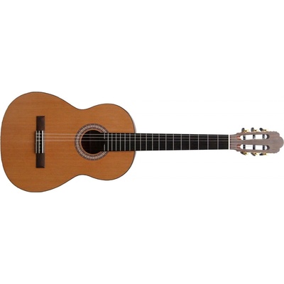 Prodipe Guitars Primera
