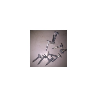 Coleman PZ do krytiny velká hlava - 2,5 x 16 mm velká hlava 5245
