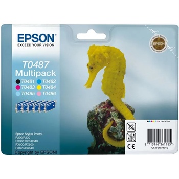 Epson T0487