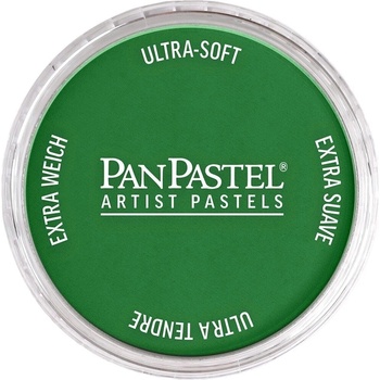 PanPastel Artists’ Сух пастел 640.3 Permanent Green Shade 1 бр (8026403-1)